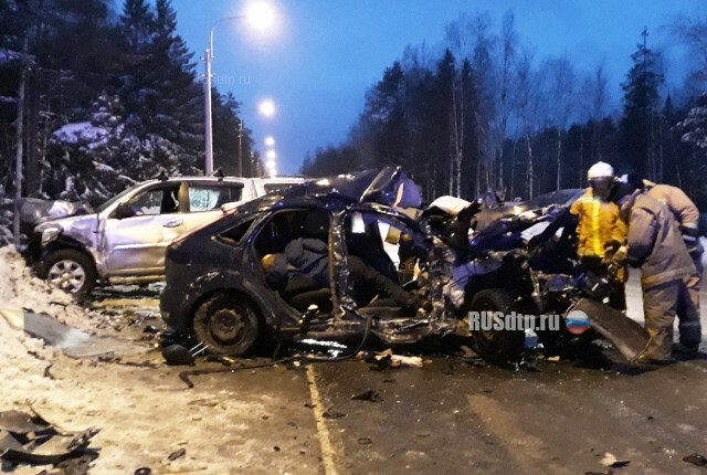Смертельное ДТП произошло на Зеленогорском шоссе в Петербурге 