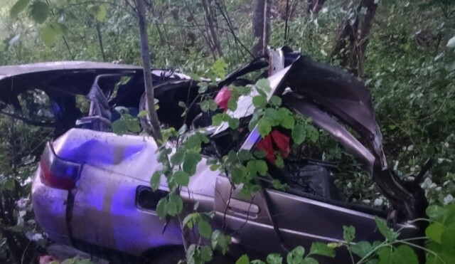 «Съехал в кювет и врезался в дерево»: парень с девушкой погибли в ДТП под Псковом 