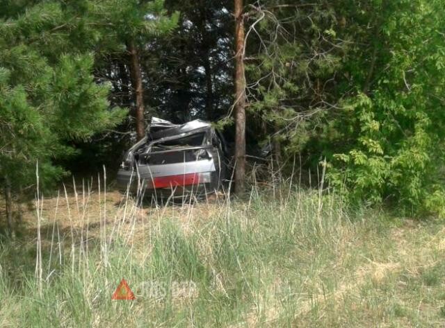 В Татарстане в ДТП с лошадью погибли три человека 