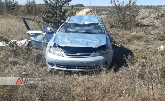 Женщина пыталась выгнать осу из машины и погибла в ДТП 