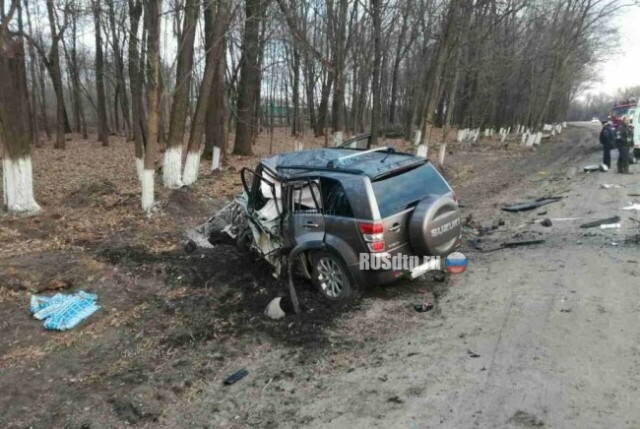 «Сузуки» и «Ниссан» столкнулись в Белгородской области. Погибли два человека 