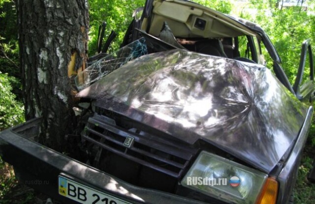 На Луганщине в ДТП погиб ребенок 