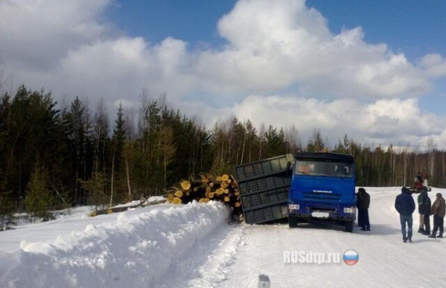 Пешехода завалило бревнами 