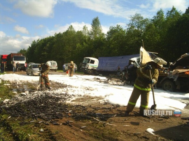 Авария на автодороге Вологда — Новая Ладога 