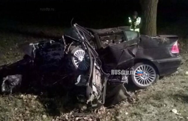 Водитель БМВ погиб, врезавшись в дерево 