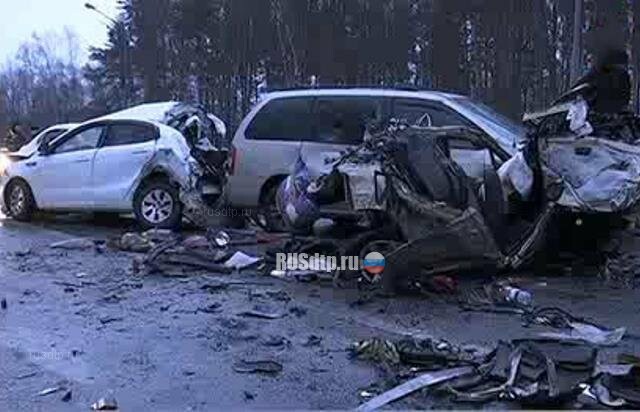 Уснувший дальнобойщик устроил кровавое ДТП в Подмосковье (видео) 