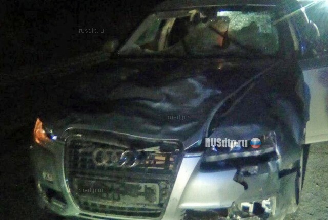 В Пермском крае 24-летний лихач на Audi насмерть сбил троих пешеходов 
