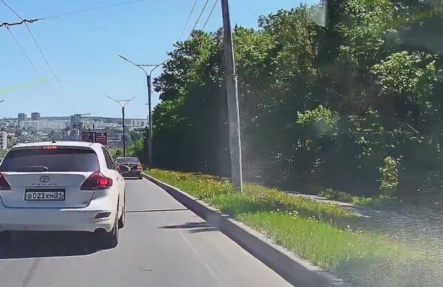 Лось сбил велосипедиста в Чебоксарах