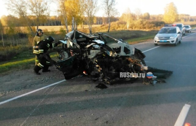 В Кемеровской области в крупном ДТП погибли 7 человек 