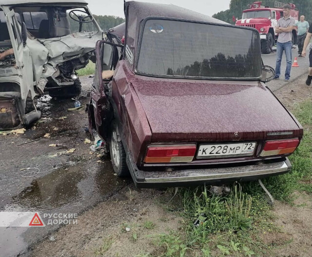 В Омской области по вине лишенного прав  водителя погибли четверо 