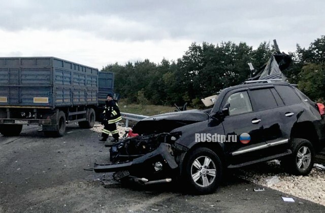 В Волгоградской области арестовали водителя КАМАЗа, по вине которого в ДТП погибли двое жителей Москвы 
