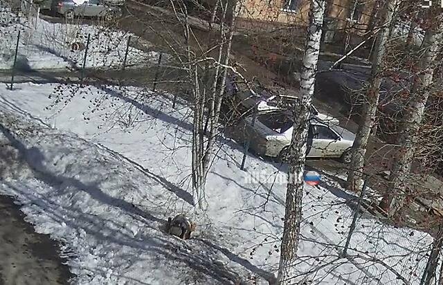 В Томске беременную девушку избили за место на парковке