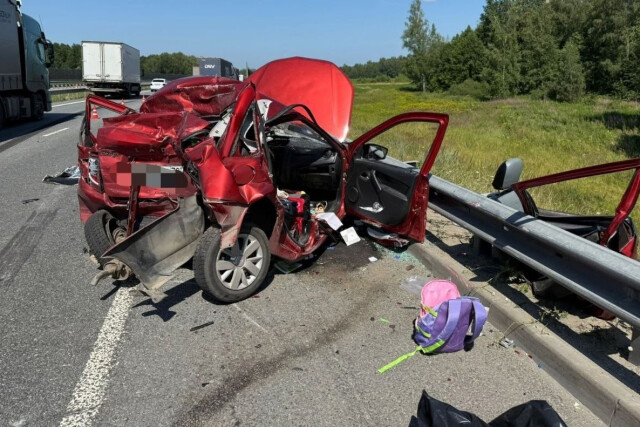 Фура смяла два автомобиля в Подмосковье: погибли 3 человека 