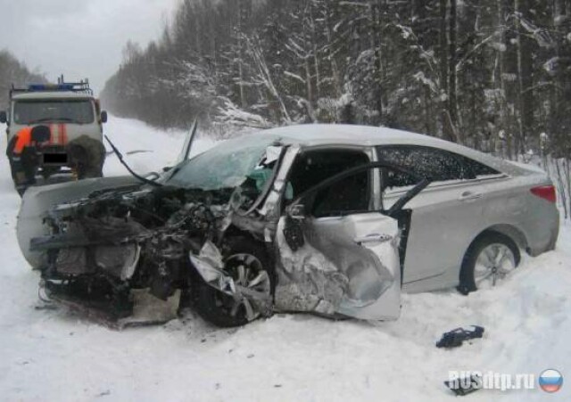 В Вологодской области в аварии погибли четыре человека 