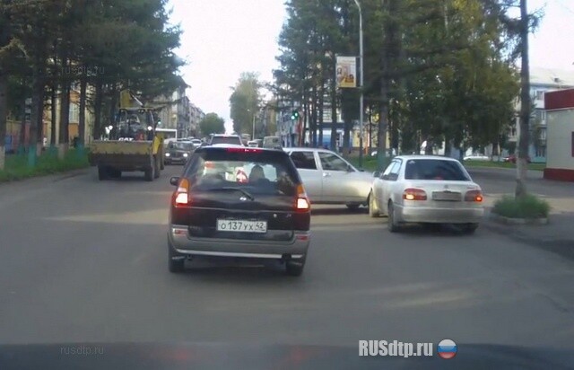 Весь черный и пушистый 