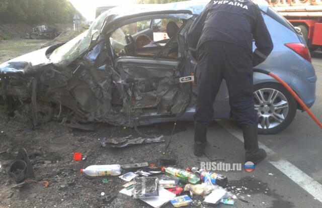 Opel столкнулся с грузовиком МАЗ — водитель погиб 