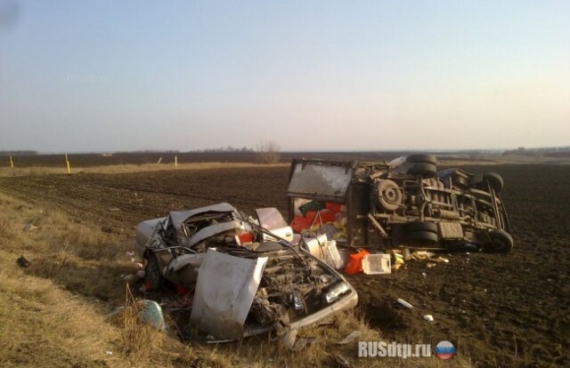 Чудом выжили 