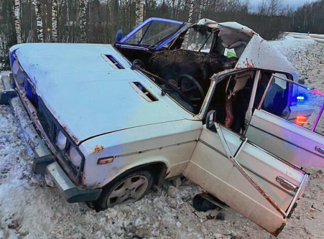 Авария под Рыбинском: лось проломил лобовое стекло и крышу легкового автомобиля 