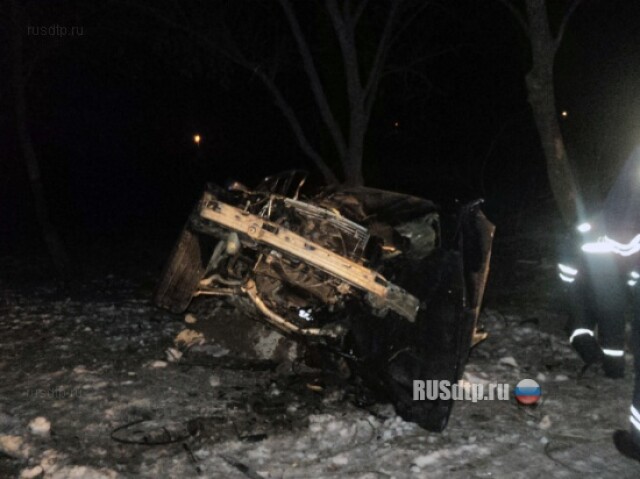 «БМВ» врезался в дерево: водитель погиб 