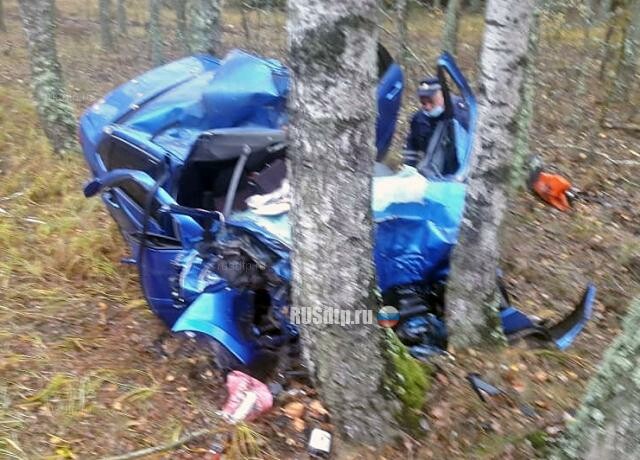 В Брянской области водитель погиб в ДТП в день своего рождения 