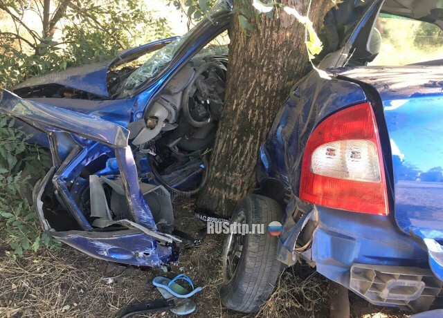 Автоледи погибла в ДТП на трассе Симферополь – Джанкой 