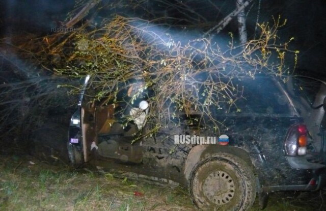 В Мышкинском районе автомобиль съехал в кювет. Один человек погиб и трое пострадали 