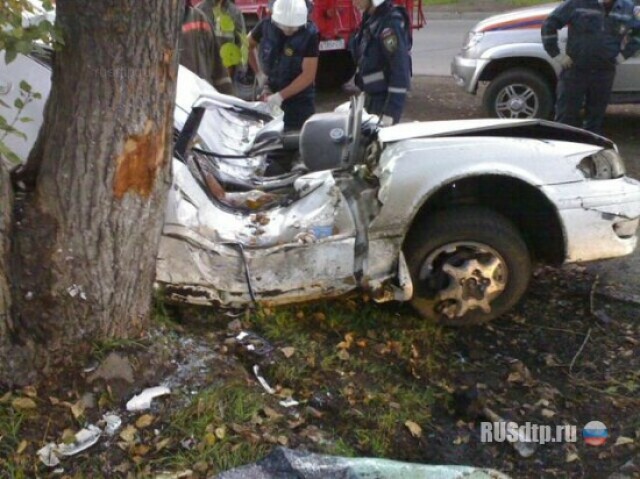 В Иркутске «Тойота» врезалась в дерево 