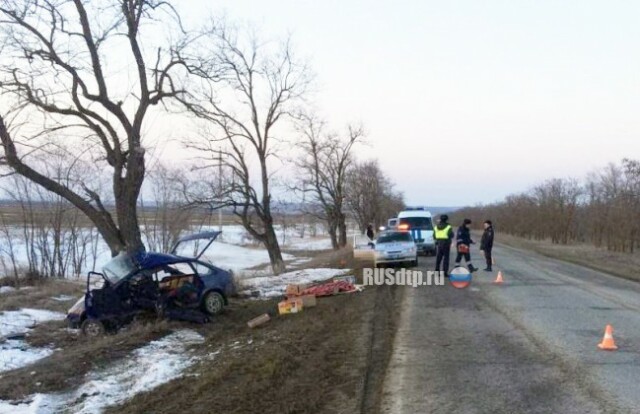 На Ставрополье легковушка врезалась в дерево, двое погибли 