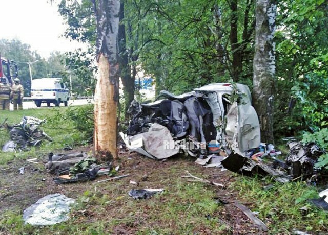 Под Чебоксарами Renault Logan разорвало о дерево. Двое погибли 