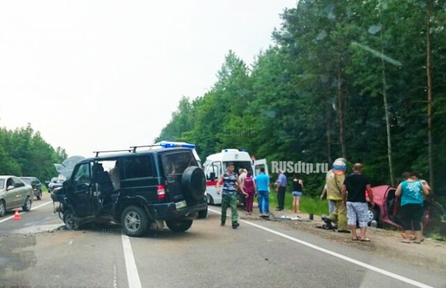 Мать и сын погибли в ДТП в Нижегородской области 