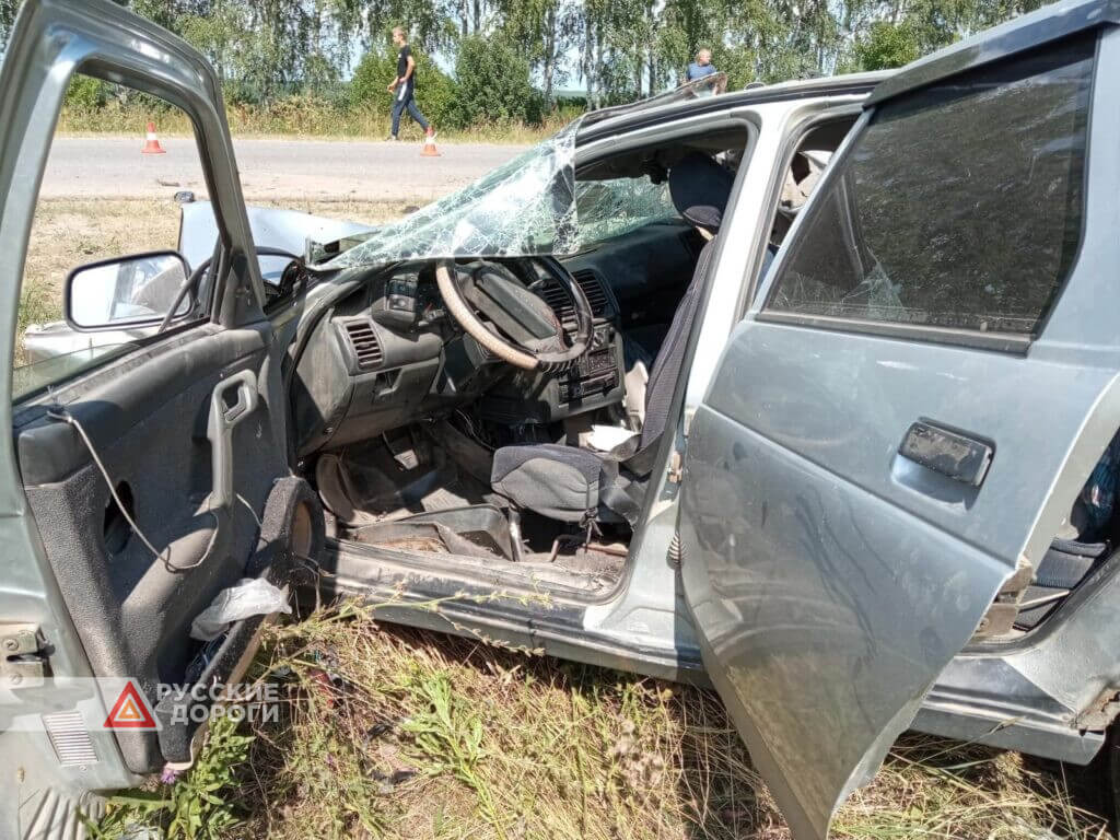 Пьяный водитель столкнулся с грузовиком в Нижегородской области