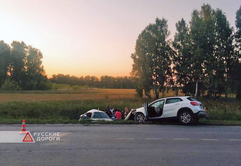 Водитель и пассажир &#171;Тойоты&#187; разбились в Новосибирской области