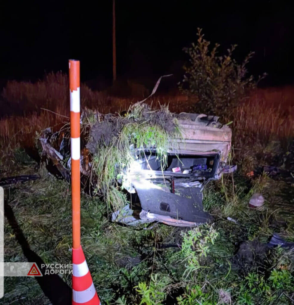Водитель и пассажир Audi разбились на трассе М-10 в Новгородской области