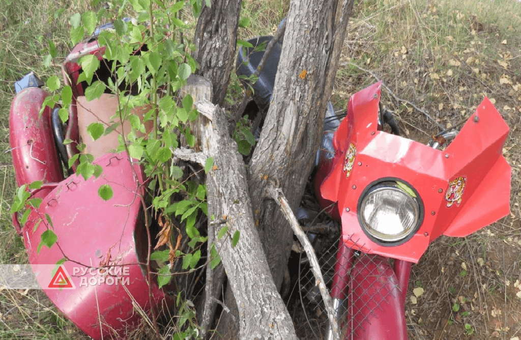 В Кировской области женщина без прав на мотоцикле врезалась в дерево и погибла