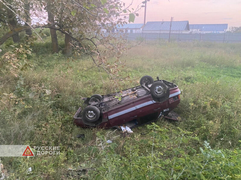 В Тамбовской области пьяный водитель сбил двоих детей