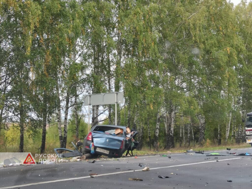 Мужчина и женщина погибли в ДТП под Нижним Новгородом