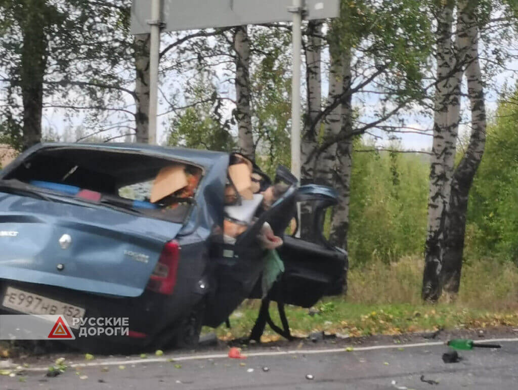 Мужчина и женщина погибли в ДТП под Нижним Новгородом