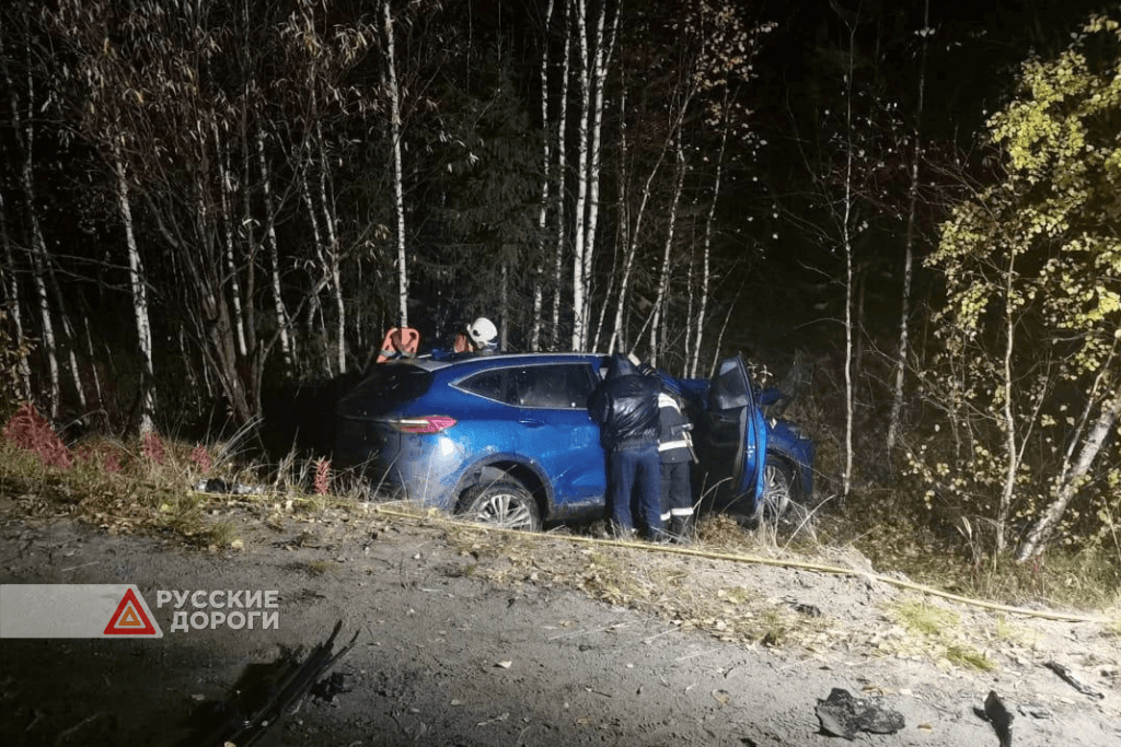 Водитель и пассажир &#171;Соляриса&#187; погибли в ДТП на трассе Сургут &#8212; Салехард