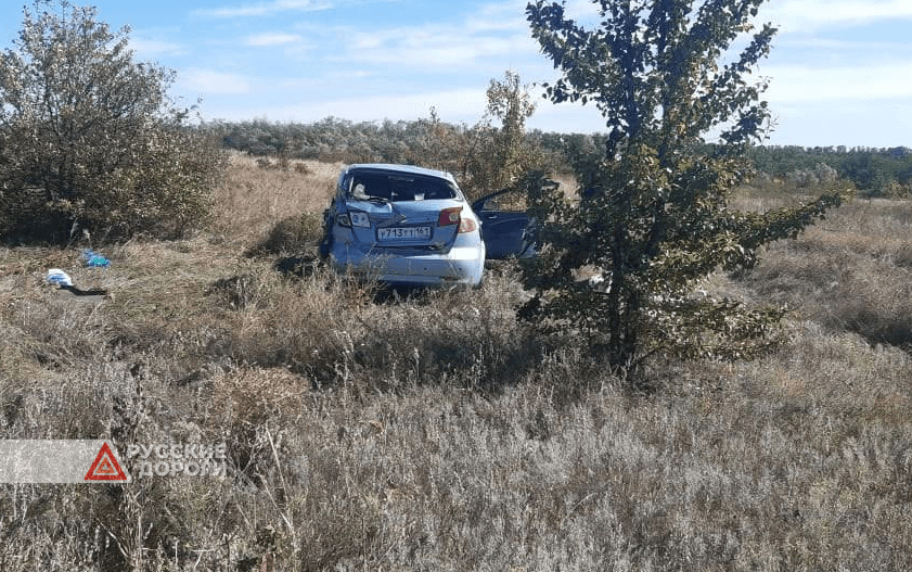 Женщина пыталась выгнать осу из машины и погибла в ДТП