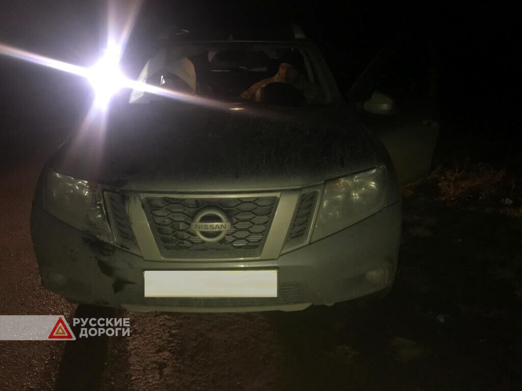 20-летняя девушка на Nissan Terrano сбила ребенка на ночной дороге в Удмуртии