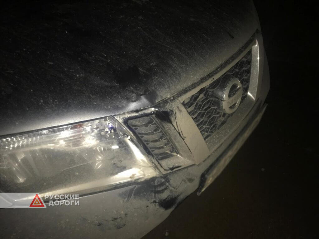 20-летняя девушка на Nissan Terrano сбила ребенка на ночной дороге в Удмуртии