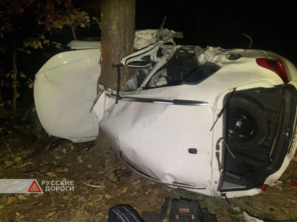 В Воронежской области Volkswagen Tiguan врезался в дерево