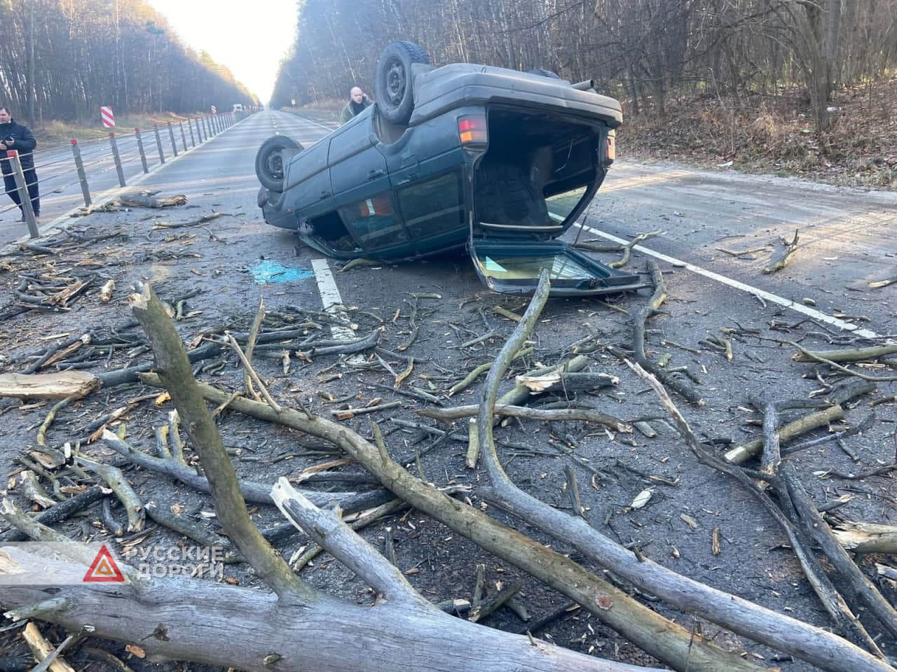 Сухое дерево упало на машину на трассе М-5 в Московской области. Никто не  пострадал