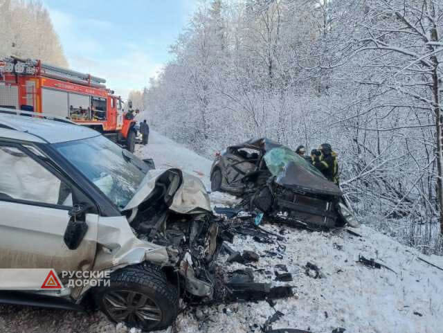 Водитель «KИА» разбился на скользкой дороге в Новгородской области