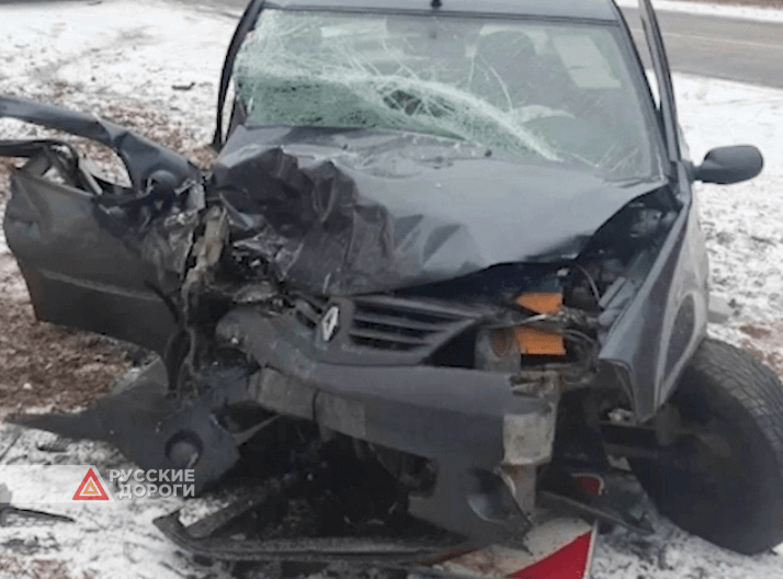 Пожилые супруги попали в смертельное ДТП в Нижегородской области