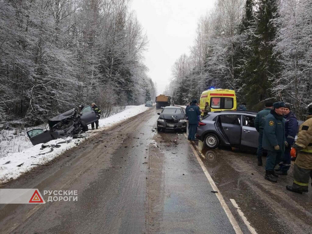 59-летний мужчина разбился на Kia Rio в Тверской области