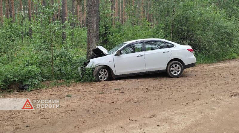 Пьяный водитель врезался в дерево