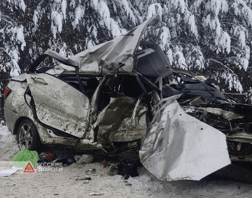 Семья попала в смертельное ДТП накануне Нового Года в Удмуртии