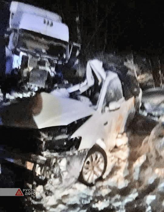 Volkswagen Polo столкнулся с фурой в Новгородской области. Четверо погибли