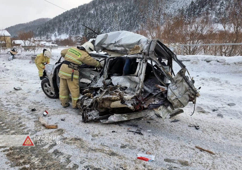 Мужчина и женщина погибли под встречным грузовиком в Сахалинской области